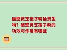 破壁灵芝孢子粉仙灵生物？破壁灵芝孢子粉的功效与作用有哪些