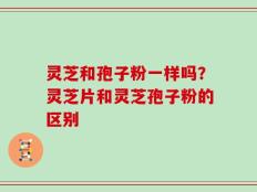 灵芝和孢子粉一样吗？灵芝片和灵芝孢子粉的区别