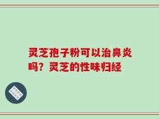 灵芝孢子粉可以治鼻炎吗？灵芝的性味归经