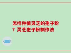 怎样种植灵芝的孢子粉？灵芝孢子粉制作法