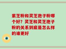 紫芝粉和灵芝孢子粉哪个好？灵芝和灵芝孢子粉的关系到底是怎么样的谁更好