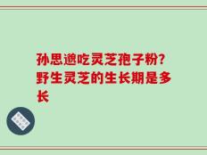孙思邈吃灵芝孢子粉？野生灵芝的生长期是多长