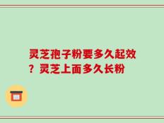 灵芝孢子粉要多久起效？灵芝上面多久长粉