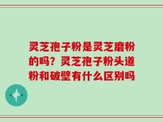 灵芝孢子粉是灵芝磨粉的吗？灵芝孢子粉头道粉和破壁有什么区别吗