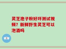灵芝孢子粉好坏测试视频？新鲜野生灵芝可以泡酒吗
