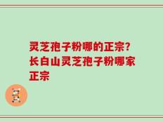 灵芝孢子粉哪的正宗？长白山灵芝孢子粉哪家正宗
