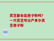 灵芝都会出孢子粉吗？一只灵芝可以产多少灵芝孢子粉