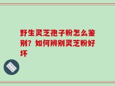 野生灵芝孢子粉怎么鉴别？如何辨别灵芝粉好坏