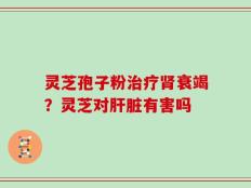 灵芝孢子粉治疗肾衰竭？灵芝对肝脏有害吗