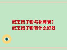 灵芝孢子粉与补脾胃？灵芝孢子粉有什么好处
