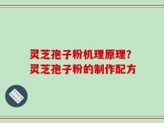 灵芝孢子粉机理原理？灵芝孢子粉的制作配方