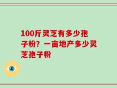 100斤灵芝有多少孢子粉？一亩地产多少灵芝孢子粉