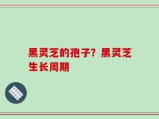 黑灵芝的孢子？黑灵芝生长周期