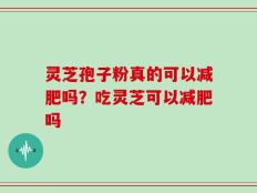 灵芝孢子粉真的可以减肥吗？吃灵芝可以减肥吗