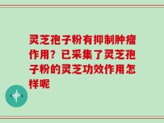 灵芝孢子粉有抑制肿瘤作用？已采集了灵芝孢子粉的灵芝功效作用怎样呢