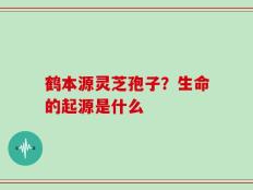 鹤本源灵芝孢子？生命的起源是什么