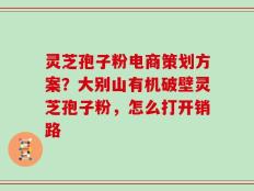 灵芝孢子粉电商策划方案？大别山有机破壁灵芝孢子粉，怎么打开销路