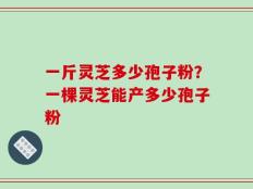 一斤灵芝多少孢子粉？一棵灵芝能产多少孢子粉