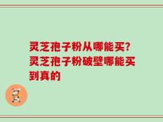灵芝孢子粉从哪能买？灵芝孢子粉破壁哪能买到真的