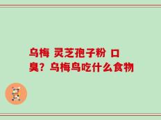 乌梅 灵芝孢子粉 口臭？乌梅鸟吃什么食物