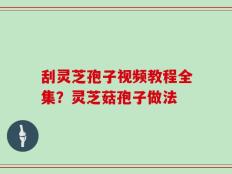 刮灵芝孢子视频教程全集？灵芝菇孢子做法