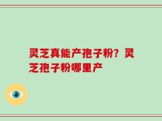 灵芝真能产孢子粉？灵芝孢子粉哪里产