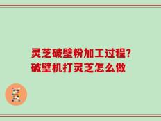 灵芝破壁粉加工过程？破壁机打灵芝怎么做