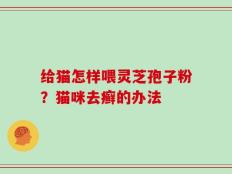 给猫怎样喂灵芝孢子粉？猫咪去癣的办法