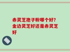 赤灵芝孢子粉哪个好？金边灵芝好还是赤灵芝好