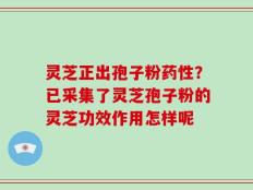 灵芝正出孢子粉药性？已采集了灵芝孢子粉的灵芝功效作用怎样呢
