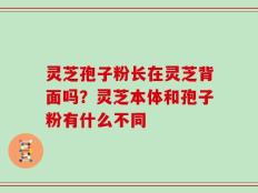 灵芝孢子粉长在灵芝背面吗？灵芝本体和孢子粉有什么不同