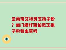 云南司艾特灵芝孢子粉？幽门螺杆菌怕灵芝孢子粉和虫草吗