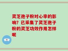 灵芝孢子粉对心率的影响？已采集了灵芝孢子粉的灵芝功效作用怎样呢