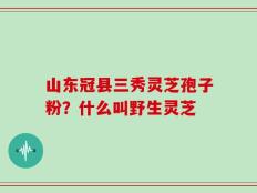 山东冠县三秀灵芝孢子粉？什么叫野生灵芝