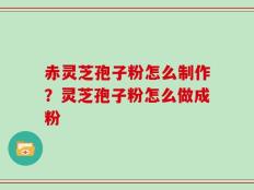 赤灵芝孢子粉怎么制作？灵芝孢子粉怎么做成粉