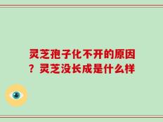 灵芝孢子化不开的原因？灵芝没长成是什么样