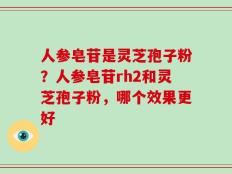 人参皂苷是灵芝孢子粉？人参皂苷rh2和灵芝孢子粉，哪个效果更好