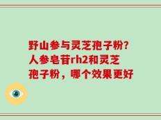 野山参与灵芝孢子粉？人参皂苷rh2和灵芝孢子粉，哪个效果更好