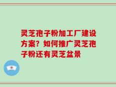 灵芝孢子粉加工厂建设方案？如何推广灵芝孢子粉还有灵芝盆景