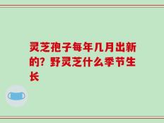 灵芝孢子每年几月出新的？野灵芝什么季节生长