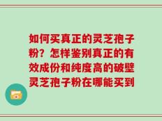 如何买真正的灵芝孢子粉？怎样鉴别真正的有效成份和纯度高的破壁灵芝孢子粉在哪能买到
