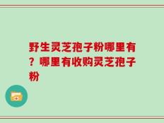 野生灵芝孢子粉哪里有？哪里有收购灵芝孢子粉