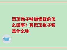 灵芝孢子味道怪怪的怎么回事？真灵芝孢子粉是什么味