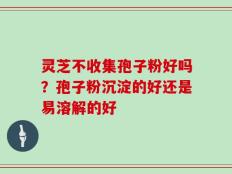 灵芝不收集孢子粉好吗？孢子粉沉淀的好还是易溶解的好