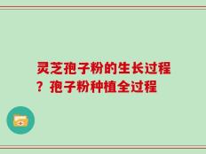 灵芝孢子粉的生长过程？孢子粉种植全过程
