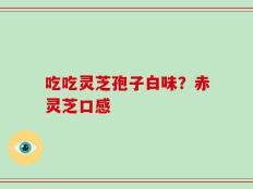 吃吃灵芝孢子白味？赤灵芝口感