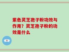 紫色灵芝孢子粉功效与作用？灵芝孢子粉的功效是什么