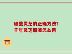 破壁灵芝的正确方法？千年灵芝原液怎么用