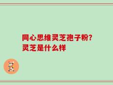 同心思维灵芝孢子粉？灵芝是什么样