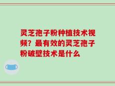 灵芝孢子粉种植技术视频？最有效的灵芝孢子粉破壁技术是什么
